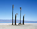 professionallandscape photographer of california desert