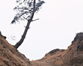historic landscape photography california coast