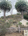 california coast editorial photographer