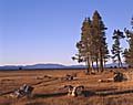 american fine art landscape photography of lake tahoe