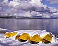 american landscape photographer of lake tahoe