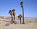 american landscape photography of california