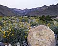 photography fine art california desert