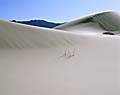 famous american landscape photography