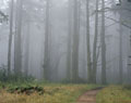 photographer professional fine art