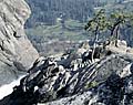 yosemite national park american photographer