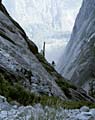 american fine art landscape photography of yosemite national park