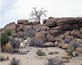 contemporary california desert fine art photographer