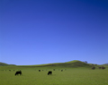 professional landscape photography