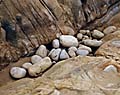 california coast professional american fine art landscape photographer