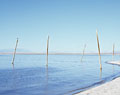 landscape photography california desert