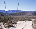 professional landscape photographer of california desert