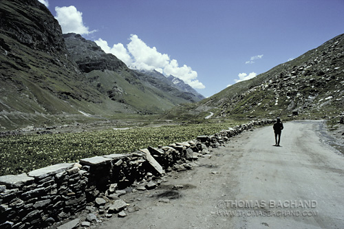 global travel writing