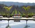 Pool and vineyard. Napa, California