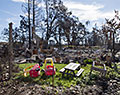 Coffey Park neighborhood. Tubbs Fire aftermath. Santa Rosa, California.