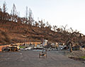 Foothill Ranch Rd. at Idlewood Rd., Tubbs Fire aftermath. Santa Rosa, California.