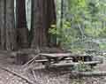 Abandoned Campsite