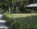 Hold-out resident. Love Canal. Niagara, NY